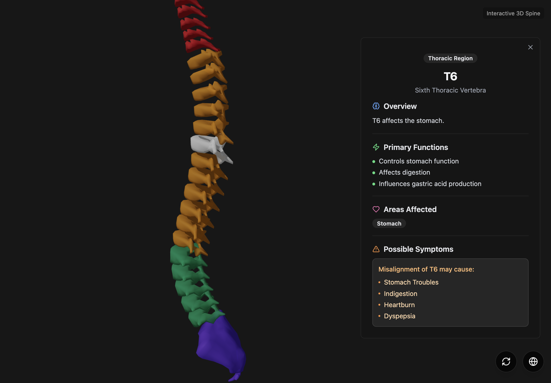 Spine Explorer preview